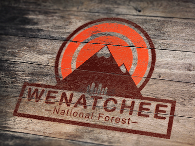 Wenatchee National Forest Painted Wood branding graphic design logo thirty logos wenatchee