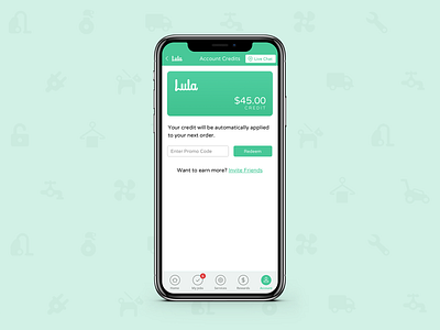 Lula Account Credit app design lula mobile ui ux