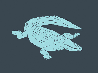 Alligator alicemaule alligator colorado denver design illustration art