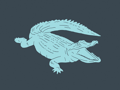 Alligator