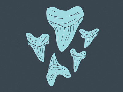 Sharks Teeth alicemaule design florida illustration illustration art shark shark teeth