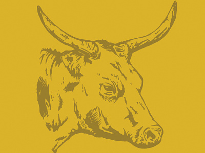 Cow // 02 alicemaule america bull colorado cow denver design illustration illustration art western