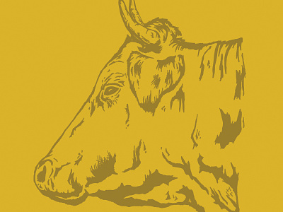 Cow // 03 alicemaule america bull colorado cow denver design illustration illustration art western