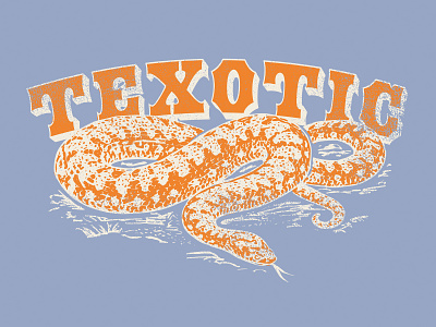 Texotic austin texas colorado country music denver illustration illustration art lettering music art nashville snake texas western