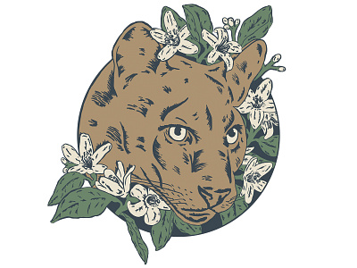 Florida Panther big cat drawing floral florida flower illustration orange blossom panther wild cat wildlife