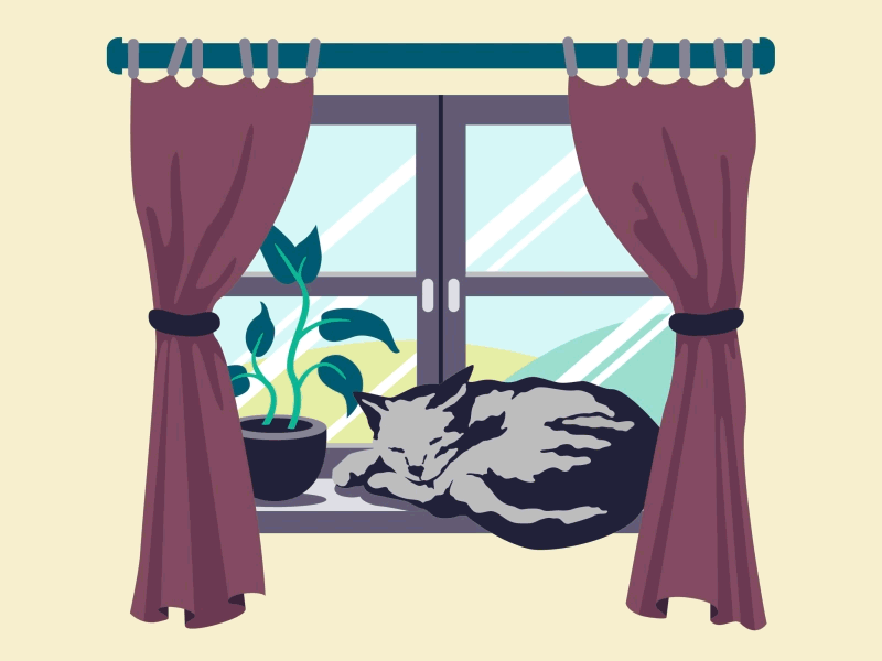 Taking A Nap animal cat cute gif illustration motion sleeping vector window