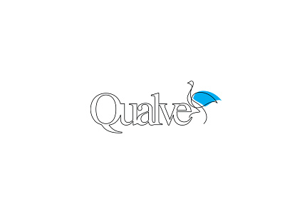 Qualve Branding branding design package design