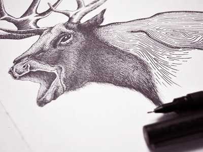 Raven X Deer artspam concept art corvus pro deer drawing hybrides ink pens raven stippling