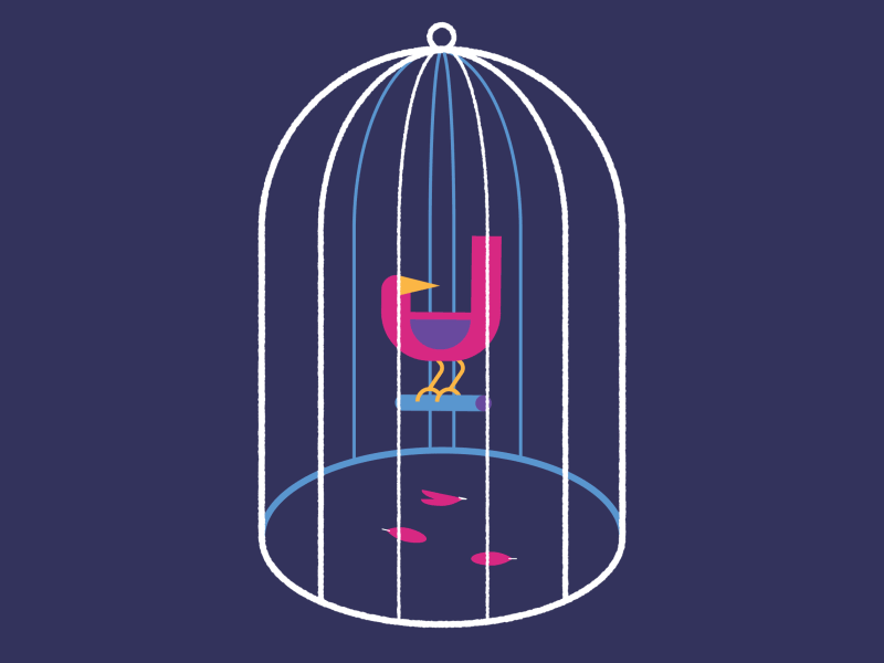 Caged after effects animation bird cage feather feel flat freedom gif illustration illustrator lobstertv lobstestudio lockdown locked prison room stayhome wings