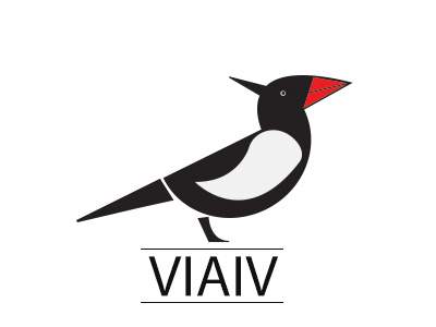 Black Bird bird logo
