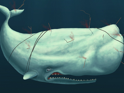 Moby Dick character design illustration moby dick