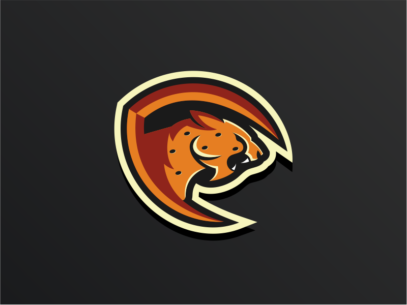 Cheetah by Zerologicstudio on Dribbble