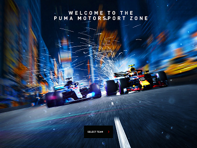PUMA Motorsport Racing Experience app design art direction branding design direction digital illustration ui uiux web design