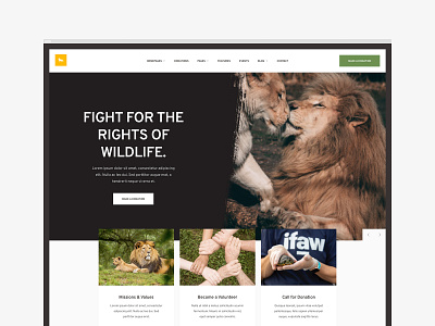 Right.Wildlife concept design grid layout minimal web webdesign