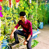 Rajon Arora 