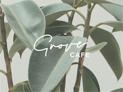 Grove Cafe