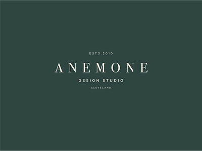 Anemone Design Studio Logo branding design studio typography