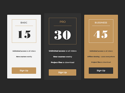 UI challenge - Pricing #030 elemnt info lables list money price pricing ui