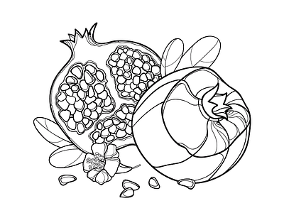 Sweet Pomegranate. coloring book contour flower fruit outline pomegranate seed summer sweet tropical
