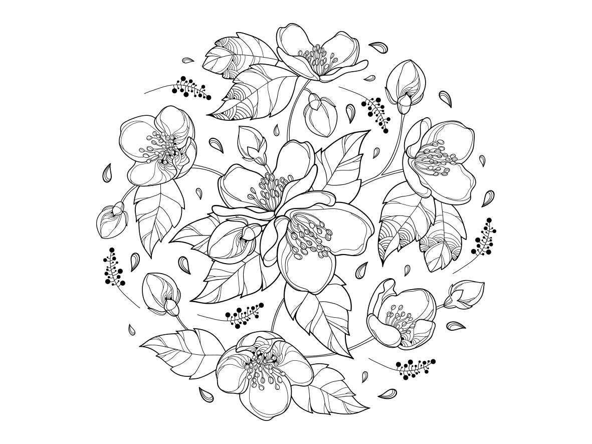 780 Top Coloring Pages Of Jasmine Flower For Free