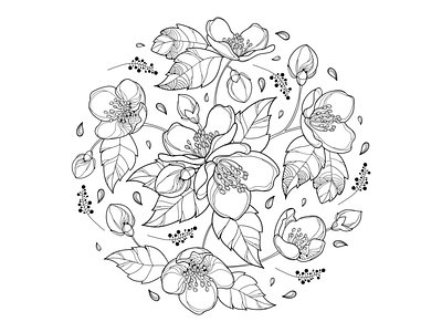 Round bouquet with Jasmine flowers. black white bouquet bunch coloring book coloring page contour drawing flora flower jasmine line art outline round summer