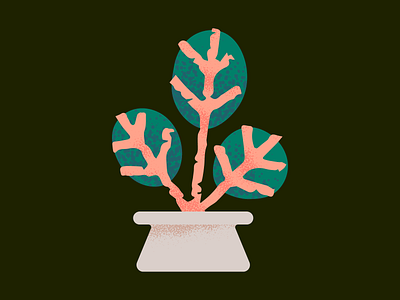 Plant #1 color color palette colors colour colour palette colours flower illustration illustration nature nature illustration organic plant plant illustration potted plant potted plants shading texture vector