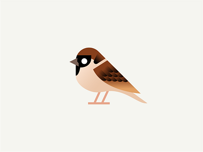 Sparrow