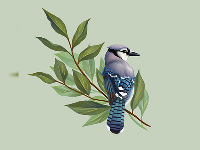 Blue bird art bird botanical digital green illustration leaves