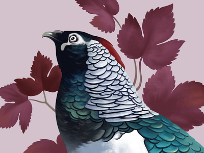 Pheasant art bird botanical digital illustration leaves