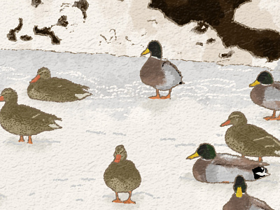 Illustration of River artwork bird design digital drawing duck ice illu illustration illustration art illustrator photoshop river snow winter