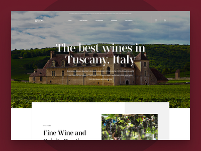 Wine Company Ecommerce Store Concept