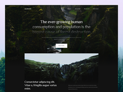 Save Forests - Landing Page Concept