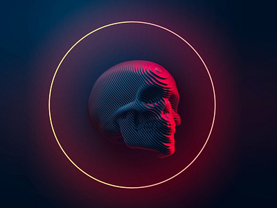 Sliced skull 2