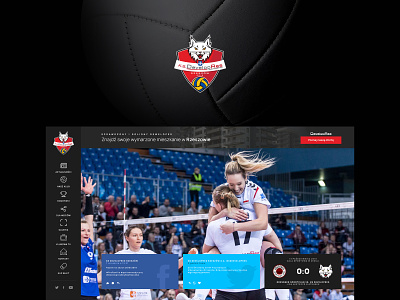 Developres Rzeszów cms design developres mobile rzeszów sport sports design ui ux volleyball webdesign website