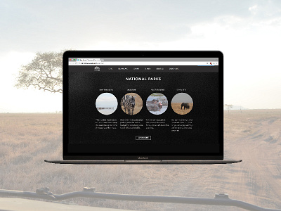 Tour company web design digital design graphic interface photography ui ux web design