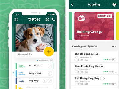 Pet-1-1 app branding design mobile mobile app ui ux