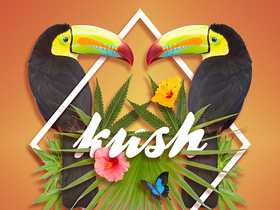 Kush Typography bird cannabis kush marijuana toucan toucans tropical