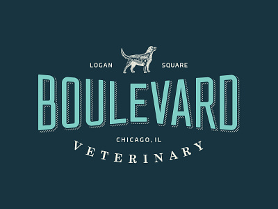 Boulevard Veterinary boulevard chicago dog vet veterinary