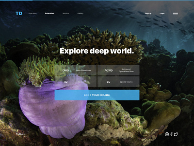 The Divers Landing Page