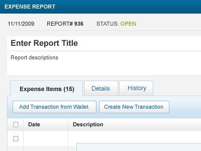 Report Title app blue expense finance form grey minimal report task webapp