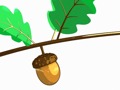 Acorn Falling fast acorns celshading xparticles motion motion design 3d animation 3d c4d leaves tree falling acorn