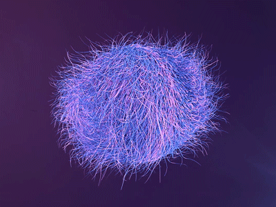 Hair Ball Doodle 3d 3d animation ball c4d c4dart hair motion motion design motiongraphics physics simulated simulation spin
