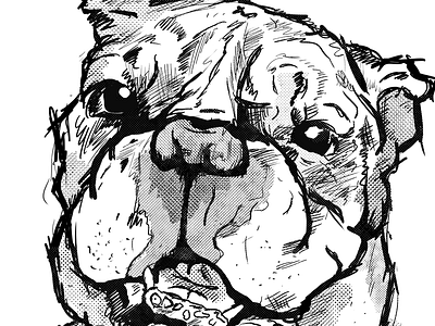 Bulldog Sketch bulldog halftone illustration sketch texture