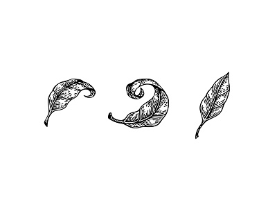 Leafs hojas illustration ink leaf leafs line art nature plant tattoo tree vector