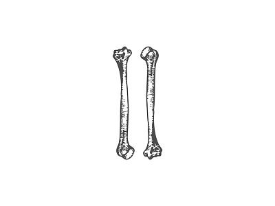 Bones bone bones huesos illustration ink leg line art tattoo vector