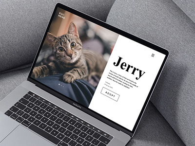 Cat Adoption Website adoption cats kittens landing page ui design web design