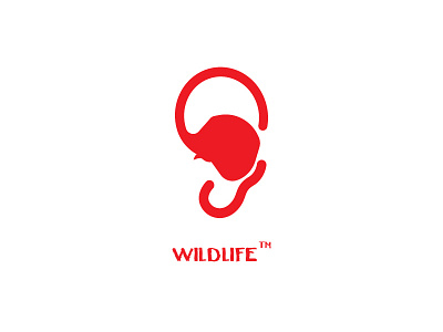 5. Wildlife