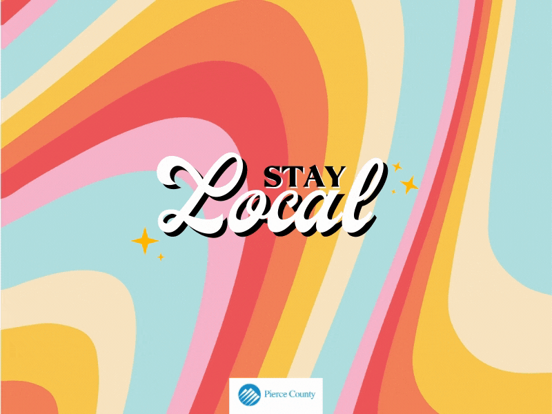 Local Support Campaign for County Government colorful county feminine government local local business procreate procreate art retro retro design retro font retro logo retrowave shop shop local shop small stay local staysafe typography washington