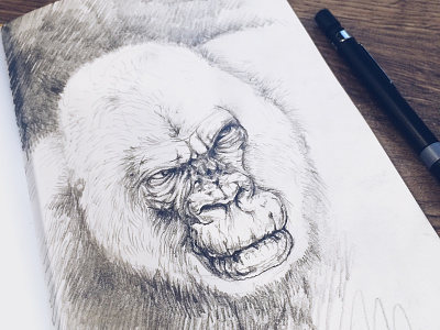 Gorilla animal drawing fun gorilla notebook pencil sketch