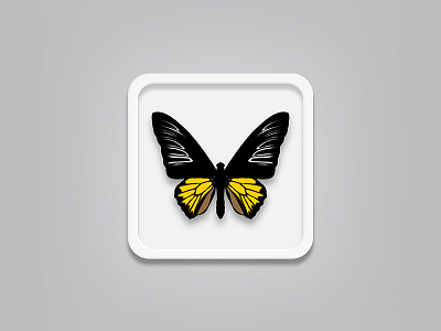 Butterfly rebound (free vector file)